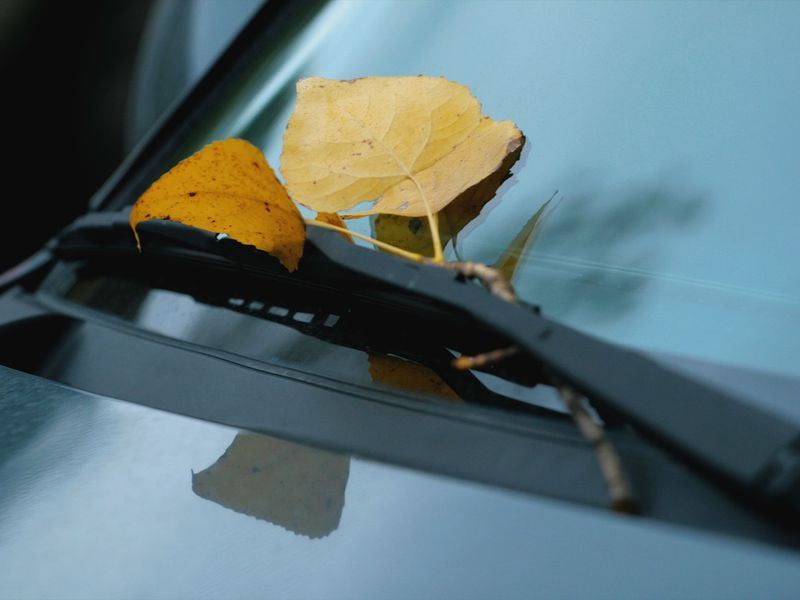 Windshield replacement job in the Highland North neighborhood of Grand Island